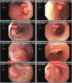 Thumbnail for version as of 16:29, 9 April 2025