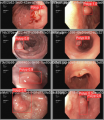 Thumbnail for version as of 16:29, 9 April 2025